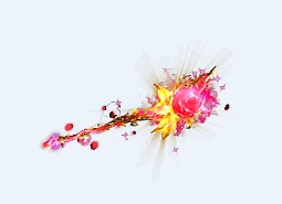 玫瑰花